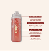 Balanced Daily Hydration Lines