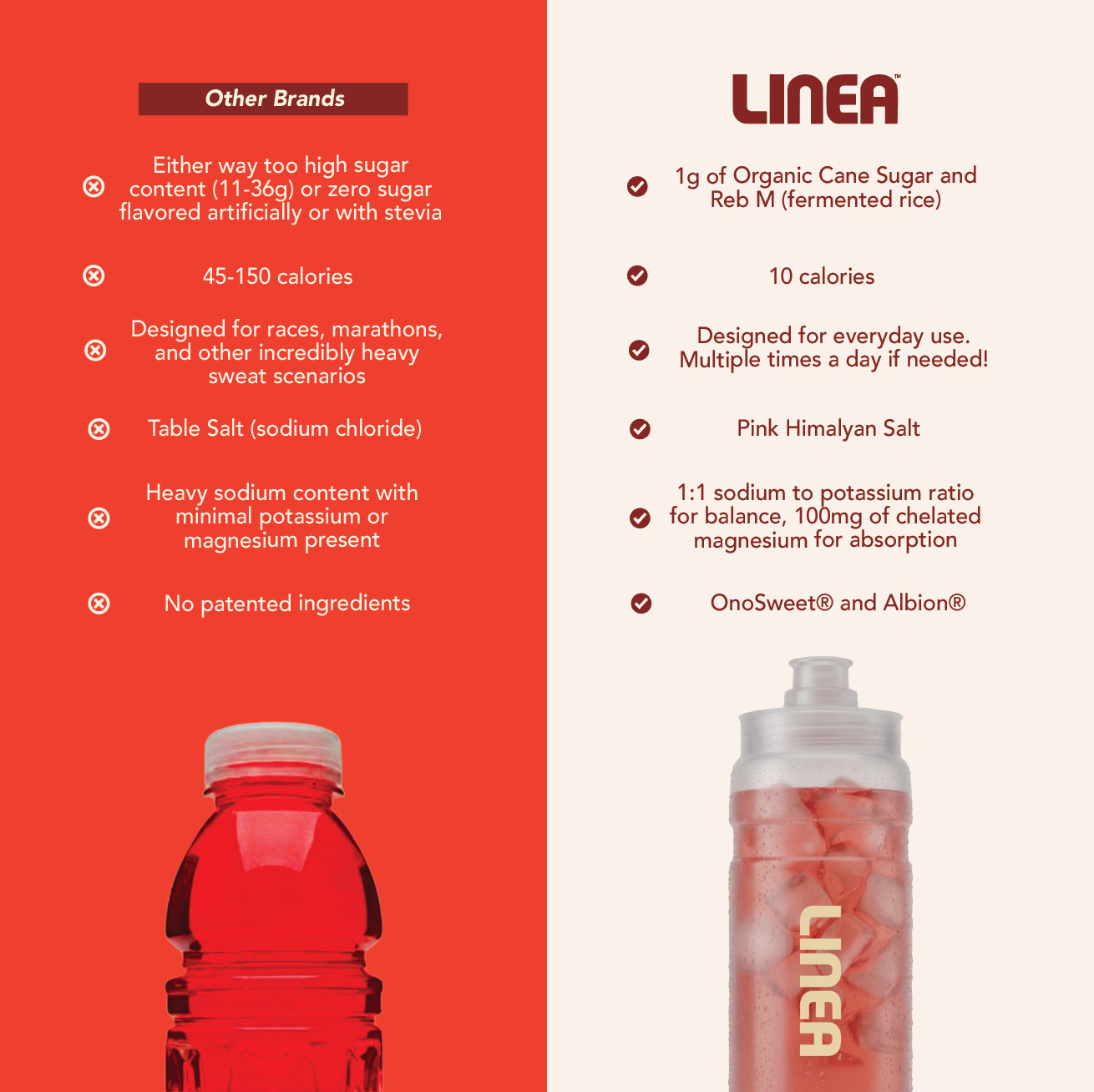 Balanced Daily Hydration Lines